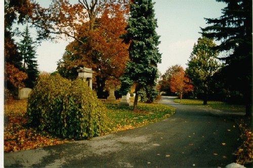 Photo d'un chemin menant à un cimetière en automne