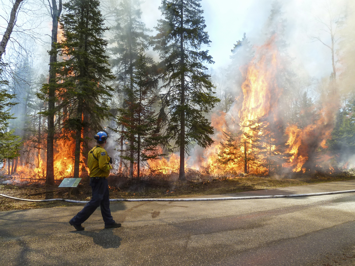 Le commandant de l'incident, Spencer Verdiel surveillant le feu dirigé de Hattie Cove.