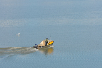Homme dans un bateau à moteur dans un bras de mer arctique