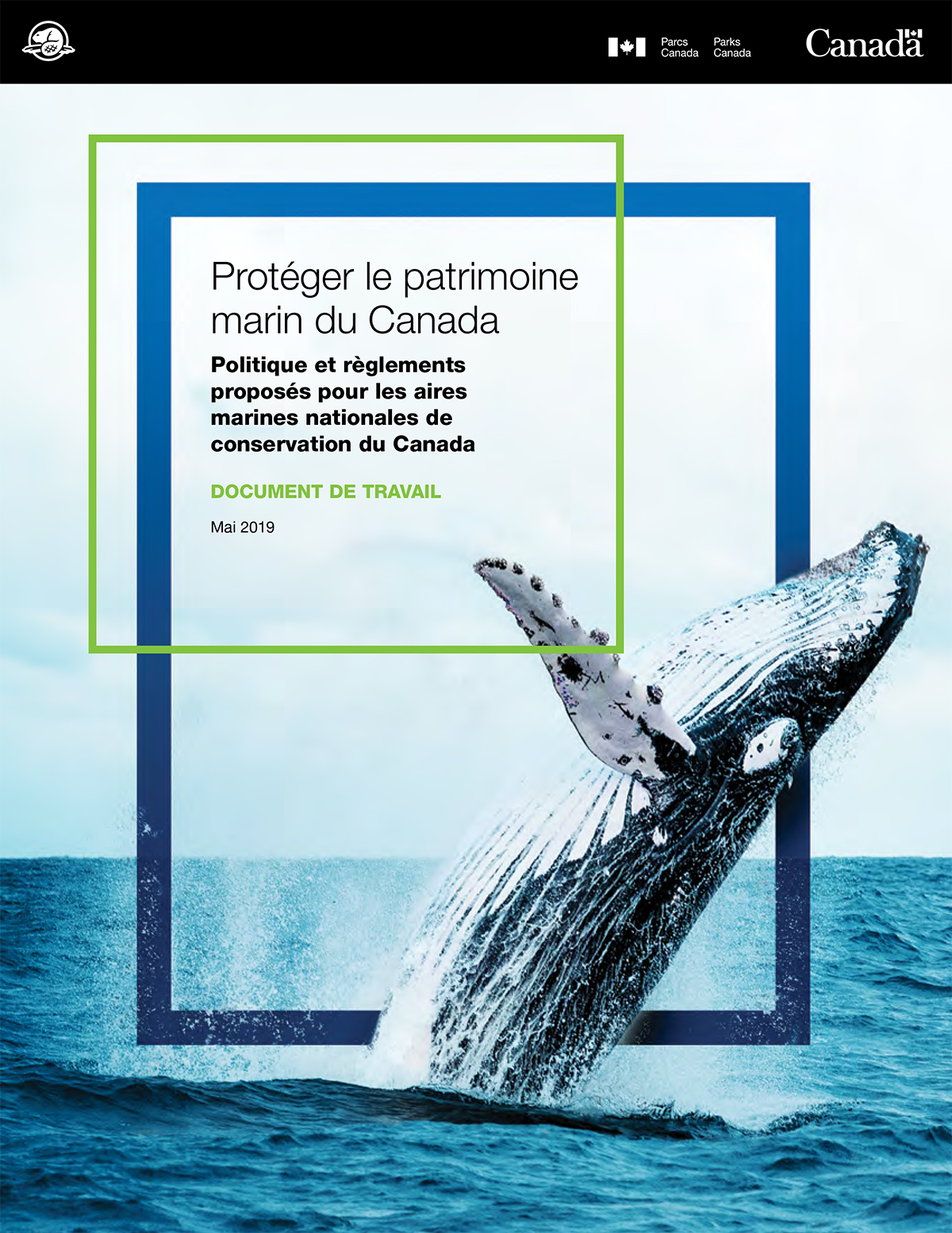 Une baleine qui se brise. Texte: Protéger le patrimoine marin du Canada - Projet de politique et de réglementation concernant les aires de conservation du Canada - Document de discussion - mai 2019.