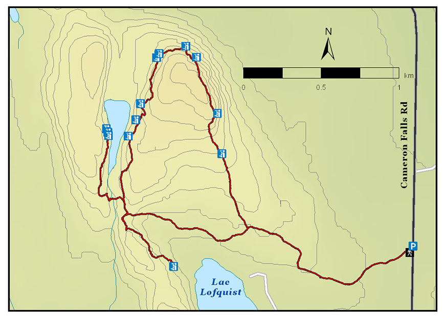 Carte de Sentier Deer Lake