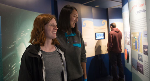 Deux femmes visitent une exposition. Elles sourient et regardent un panneau d'information. 