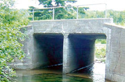 Petit pont au-dessus du ruisseau Dickson