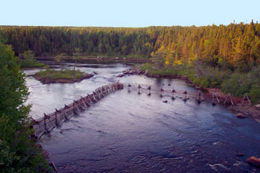 Barrière de dénombrement dans une rivière