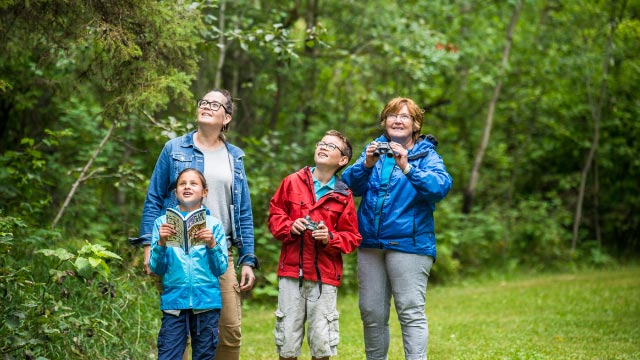 Femmes et enfants qui observe dans les arbres avec des jumelles et un guide d'observation