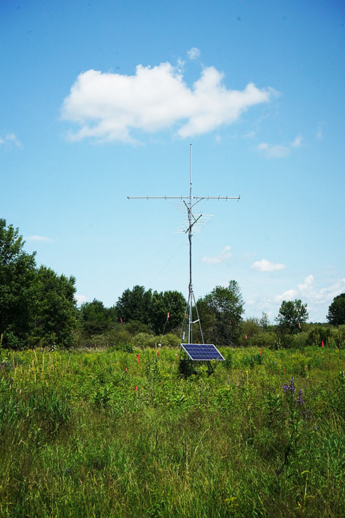 Une antenne dans un champs