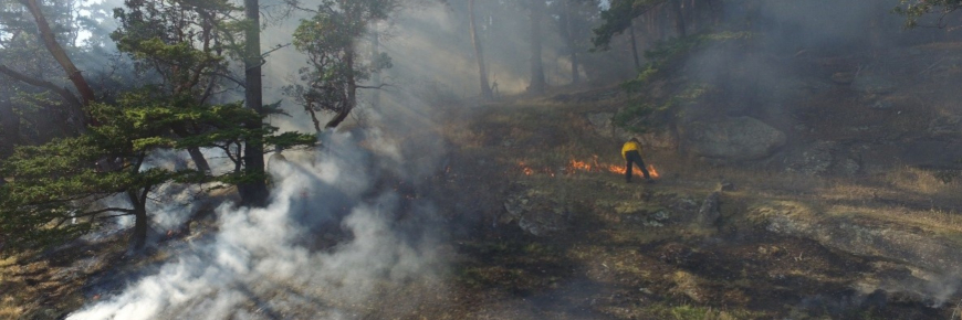 Une personne qui s’occupe d’une petite parcelle de feu dans un paysage de feu couvant d’arbres et de prairies.