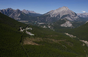 Vue du haut des airs des travaux d’éclaircie forestière © Parcs Canada / Chris Siddal