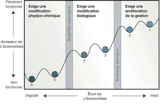 Figure 2 : Modèle conceptuel de la dégradation et de la restauration d’un écosystème (adapté de Whisenant, 1999, et de Hobbs et Harris, 2001)