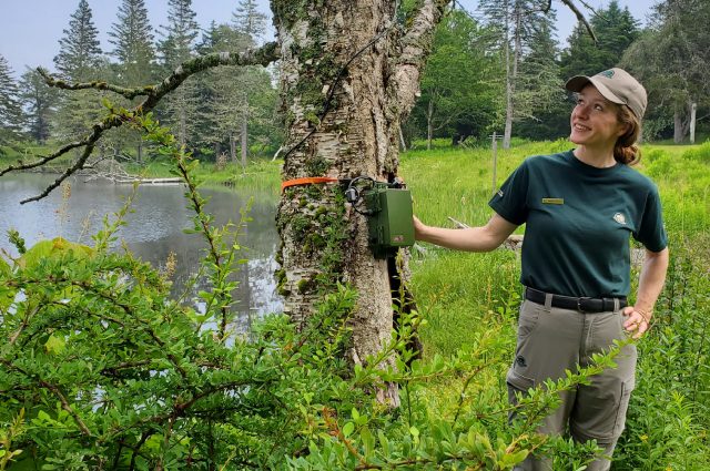 Un employé de Parcs Canada sourit à côté d’un arbre sur lequel est fixé un conteneur vert dans la forêt près de l’eau.