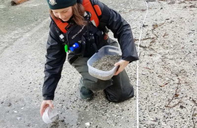 Un employé de Parcs Canada s’agenouille sur du sable gris et ramasse des sédiments à l’aide d’un petit contenant en plastique qu’il place dans un plus grand contenant en plastique.