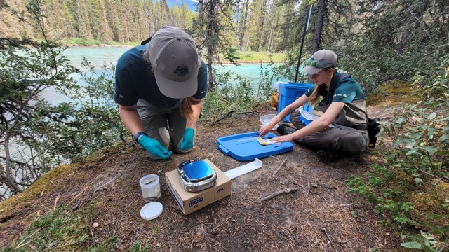 Deux personnes traitent les échantillons d’ADNe sur le sol, près de l’eau, à l’aide d’un petit équipement de laboratoire.