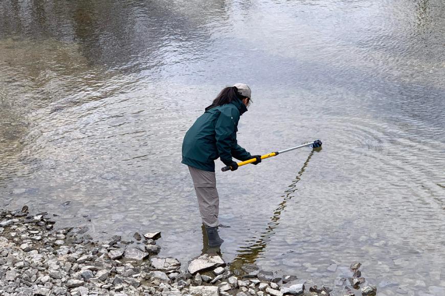 Un employé de Parcs Canada tient une longue canne dans les eaux peu profondes depuis le rivage.