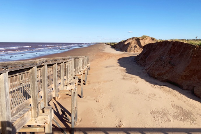 Une promenade en bois le long de dunes de sables couvertes de longues herbes avec la mer au loin. Les dunes de sables occupent environ un cinquième de l'image.