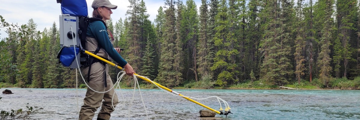Un membre du personnel de Parcs Canada utilise une longue canne et un tuyau attaché à son sac à dos spécial dans l’eau. Un grand récipient rond se trouve dans l’eau à côté de lui.