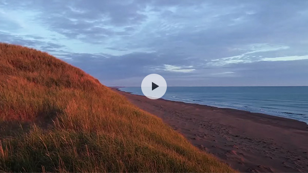 Vidéo : Pituamkek (île Hog et dunes Sandhills) Parcs Canada