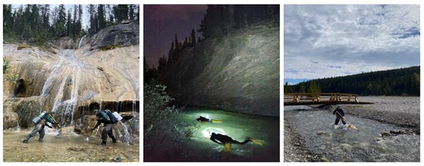 Les scientifiques de Parcs Canada mènent plusieurs activités de surveillance dans une série de 3 images.