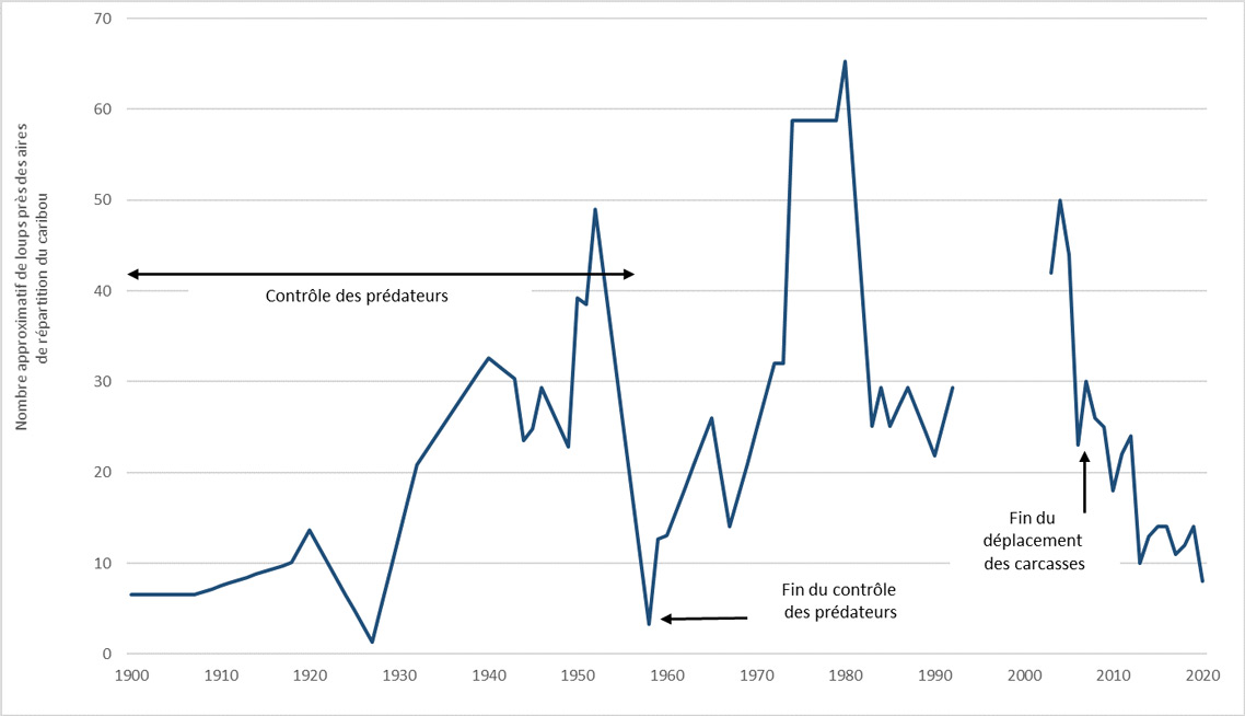 The approximate number of wolves near caribou ranges from 1900 to 2019.