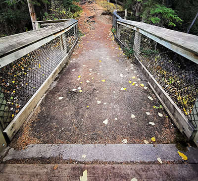 Un court tronçon (15 m) du sentier est asphalté et mène les visiteurs jusqu’à un pont en accessible bois qui domine le ruisseau Mountain et la dépression située au pied des chutes.