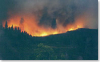 Vue de l'incendie du mont Sofa, les flammes orange se détachant sur le ciel sombre du petit matin