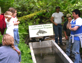 Remise à l'eau des saumons, mai 2004