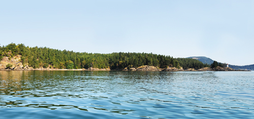 Baie Maple – Île Prevost 