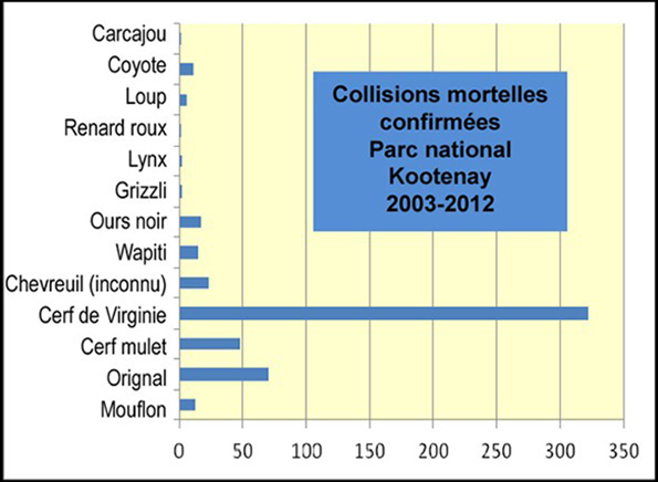 Graphique : Collisions mortelles confirmées dans le parc national Kootenay de 2003 à 2012