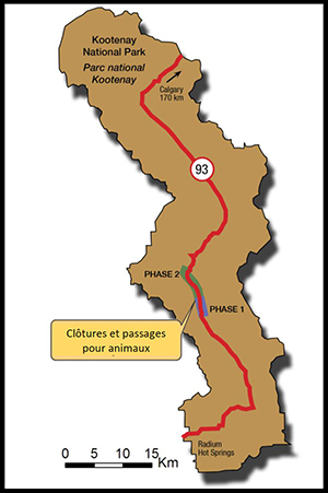 Carte des clôtures et passages pour animaux