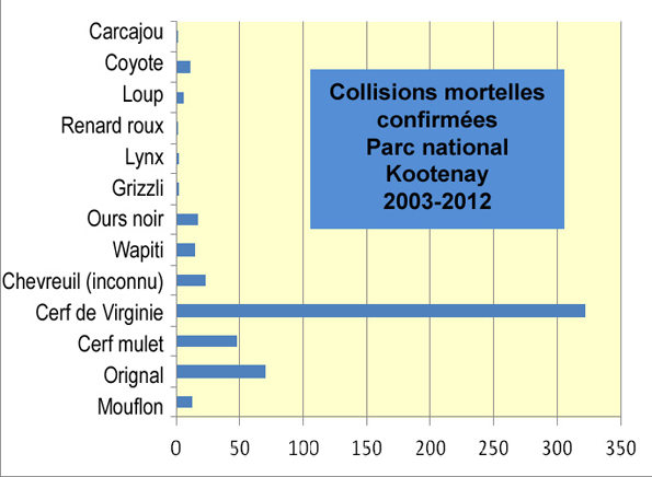 Collision mortelles confirmées Parc national Kootenay 2003 - 2012