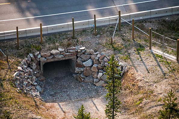 Box culvert animal underpass