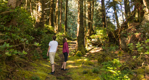 Deux personnes marchant sur un sentier dans la forêt.
