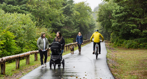 Une famille avec une poussette, une personne avec un chien et un cycliste sur un chemin asphalté.