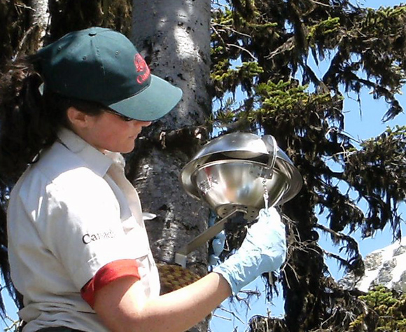 Utilisation d’échantillonneurs d’air passifs pour trouver la source du DDT dans les lacs alpin