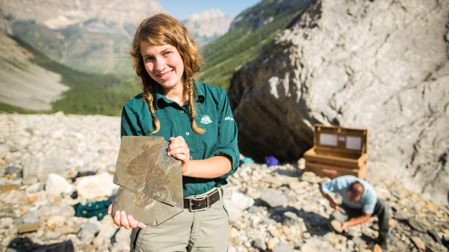 Schistes Argileux De Burgess - Parc National Yoho