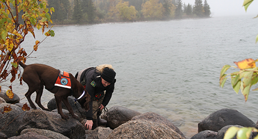 Diesel and this handler, Heather McCubbin, check along the pier for zebra mussels