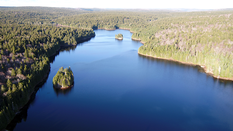 Aerial view of Bennett Lake