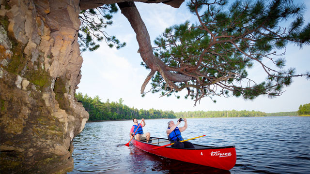 Two visiteurs en canot en dessous d'un pin penchant par dessus le cours d'eau