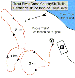 Carte de sentiers de ski de fond à l’étang Trout River