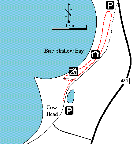 Carte des sentiers de ski de fond à Shallow Bay