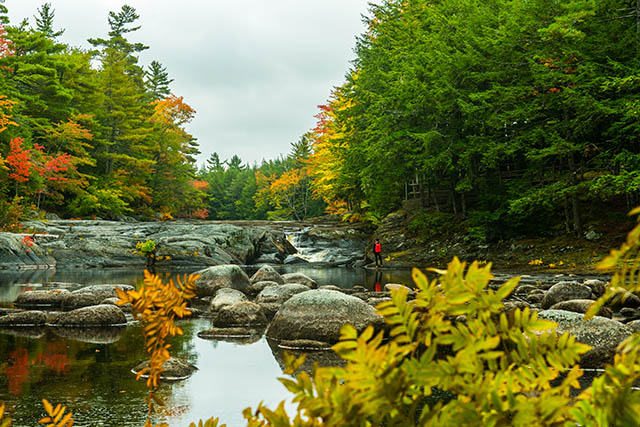 La rivière est calme en aval des chutes.