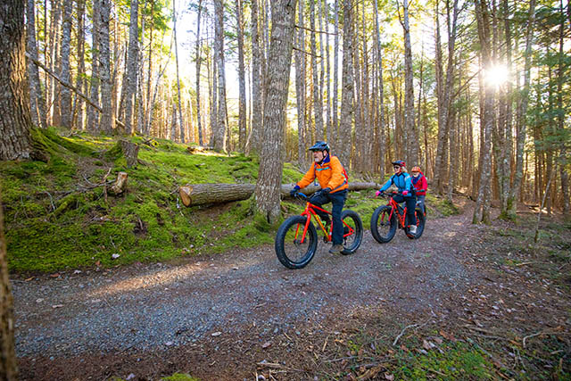 Trois cyclistes sur des fat bikes sur le sentier.