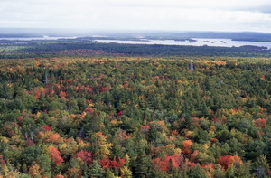 vie aérienne de la forêt mixte et lac 