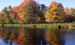 Plaines inondables au ruisseau Rogers 