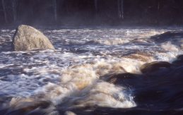 eaux de la rivière Mersey 