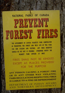 Affiche historique sur la prévention des incendies de forêt