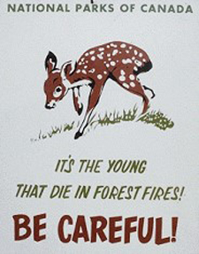 Affiche historique mettant en vedette un bébé cerf et indiquant que ce sont les jeunes qui meurent dans les incendies
