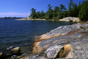 Pins balayés par le vent sur les côtes rocheuses du parc national du Canada des Îles-de-la-Baie- Georgienne, terrain typique du Bouclier canadien.