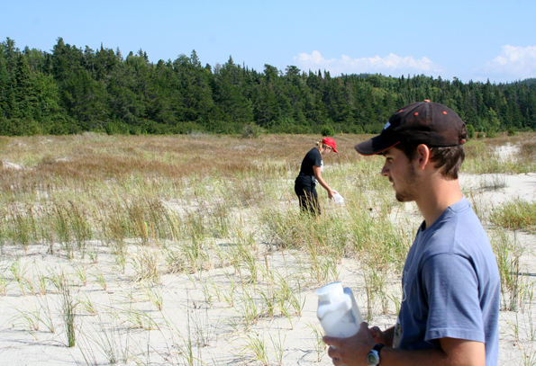 Des étudiants de la Lakehead University semant des graines de chardon de Pitcher à la baie de l’Oiseau en 2013