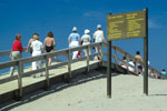 Des trottoirs de bois et des tapis marquent l'accès aux plages.