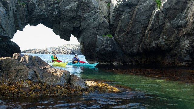 Deux visiteurs font du kayak de mer le long du littoral à Terra-Nova. 